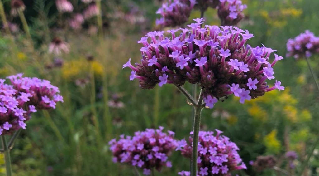 #10YearChallenge A Letter to my 14-Year-Old&nbsp;Self