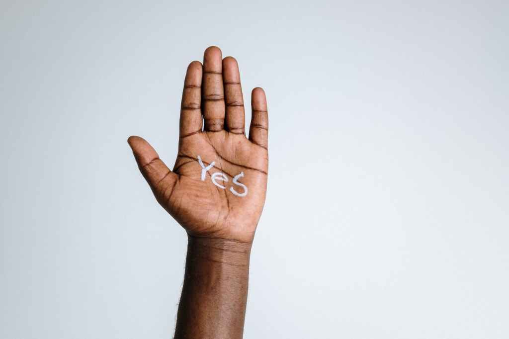 photo of person s hand